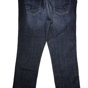 American Eagle Outfitter Artist Women Jeans